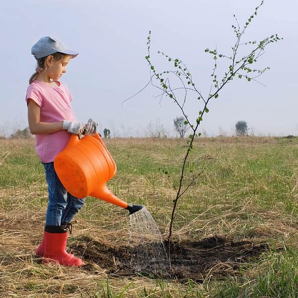 Sustainability girl watering tree